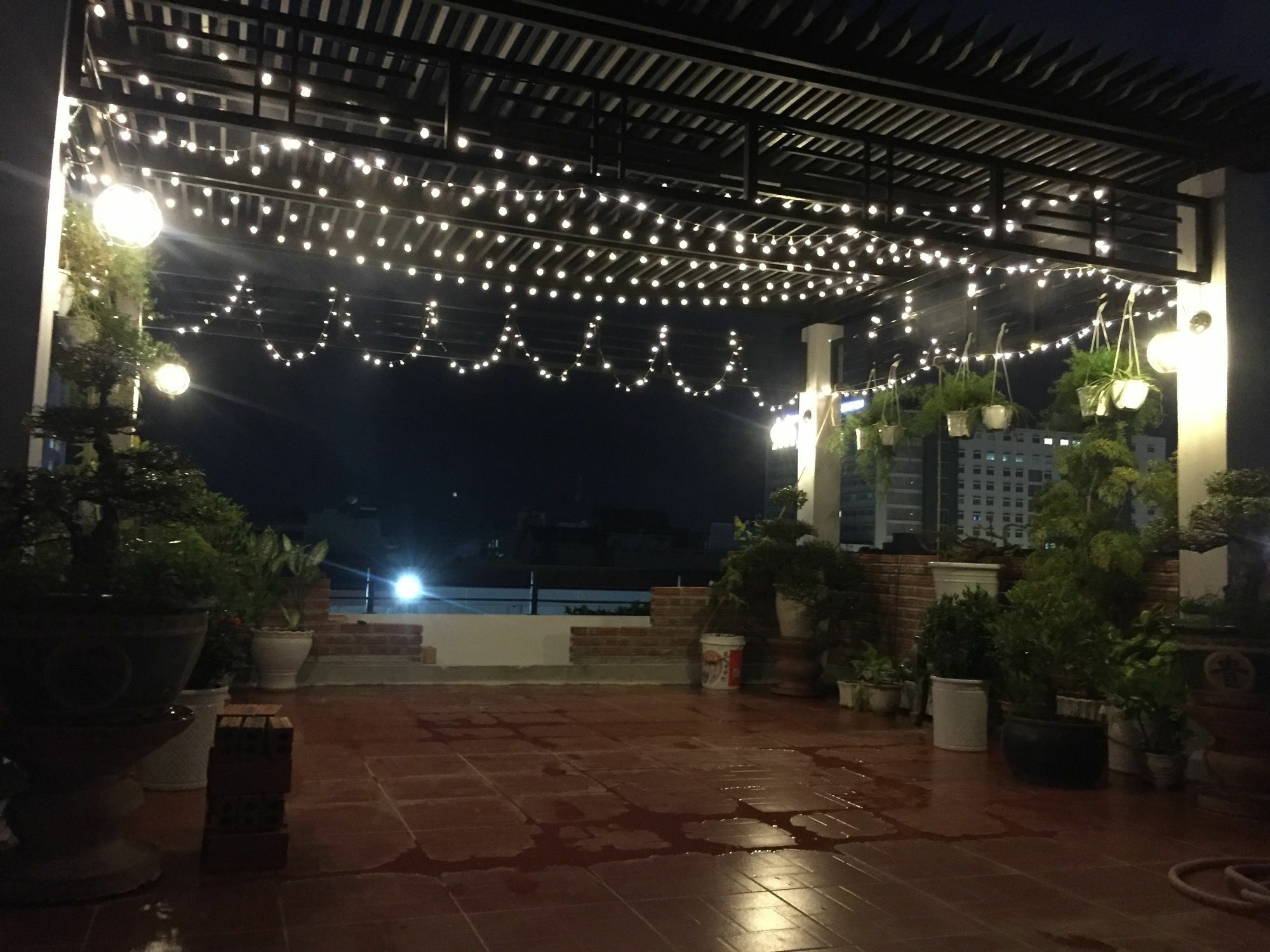 Sophie'S House Homestay Quy Nhon Eksteriør billede